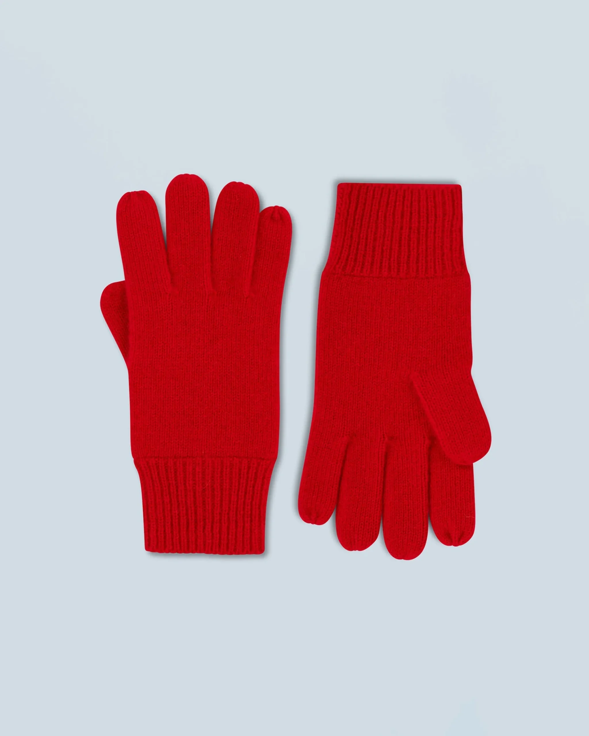 Guanti Regolare Basic