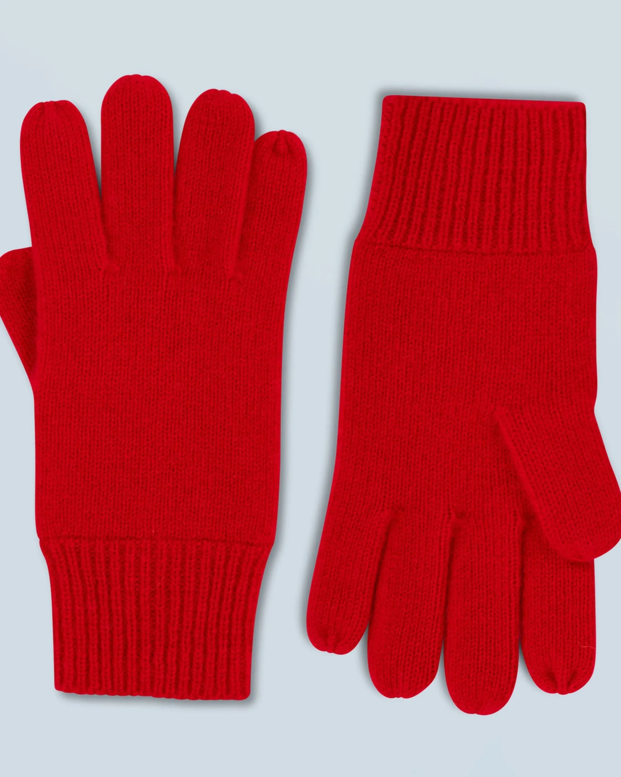 Guanti Regolare Basic